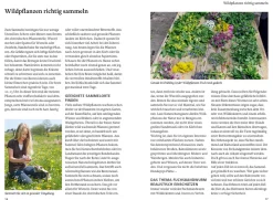 Unsere essbaren Wildpflanzen