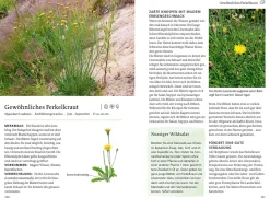 Unsere essbaren Wildpflanzen