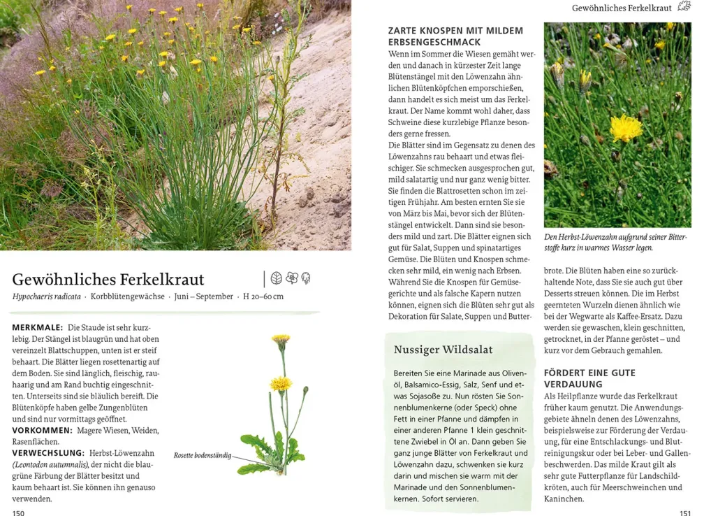 Unsere essbaren Wildpflanzen