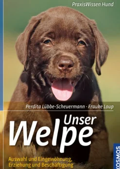 Unser Welpe