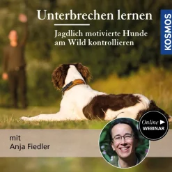 Unterbrechen lernen – Jagdlich motivierte Hunde am Wild kontrollieren