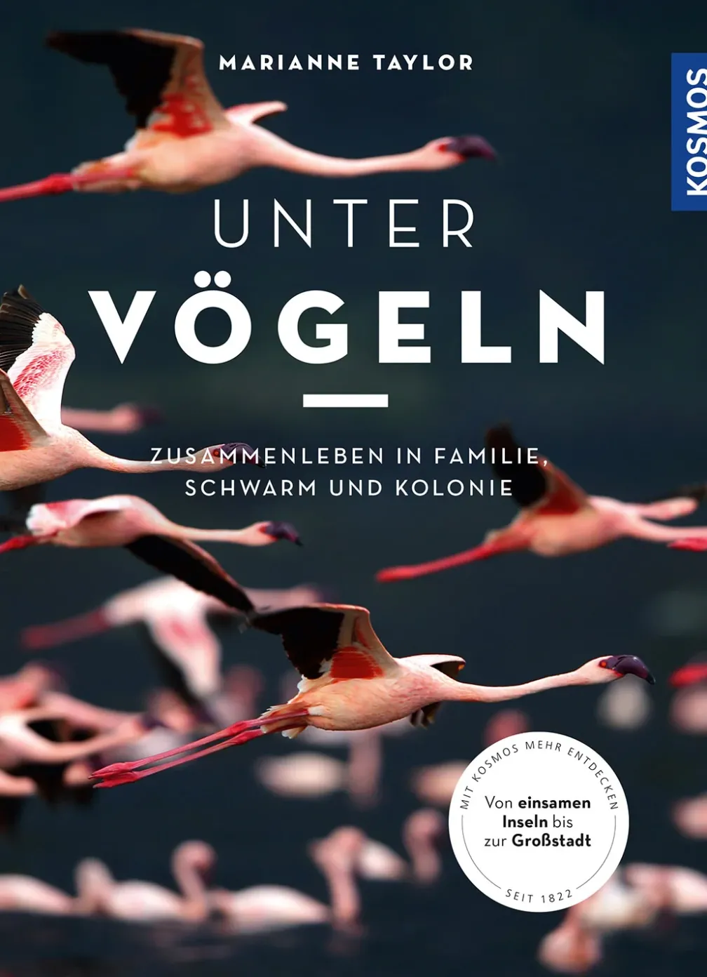 Unter Vögeln