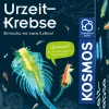 Urzeit-Krebse