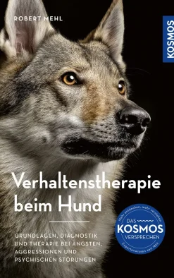 Verhaltenstherapie beim Hund
