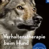 Verhaltenstherapie beim Hund