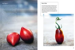 Verrückt nach Tomaten