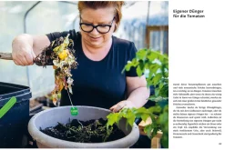 Verrückt nach Tomaten