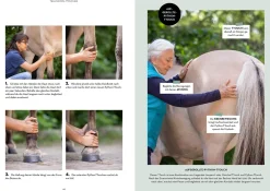 Vertrauen stärken mit Tellington Training