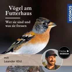 Vögel am Futterhaus – Wer sie sind und was sie fressen.