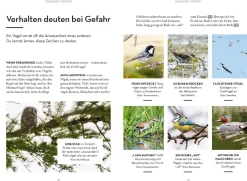 Vögel beobachten
