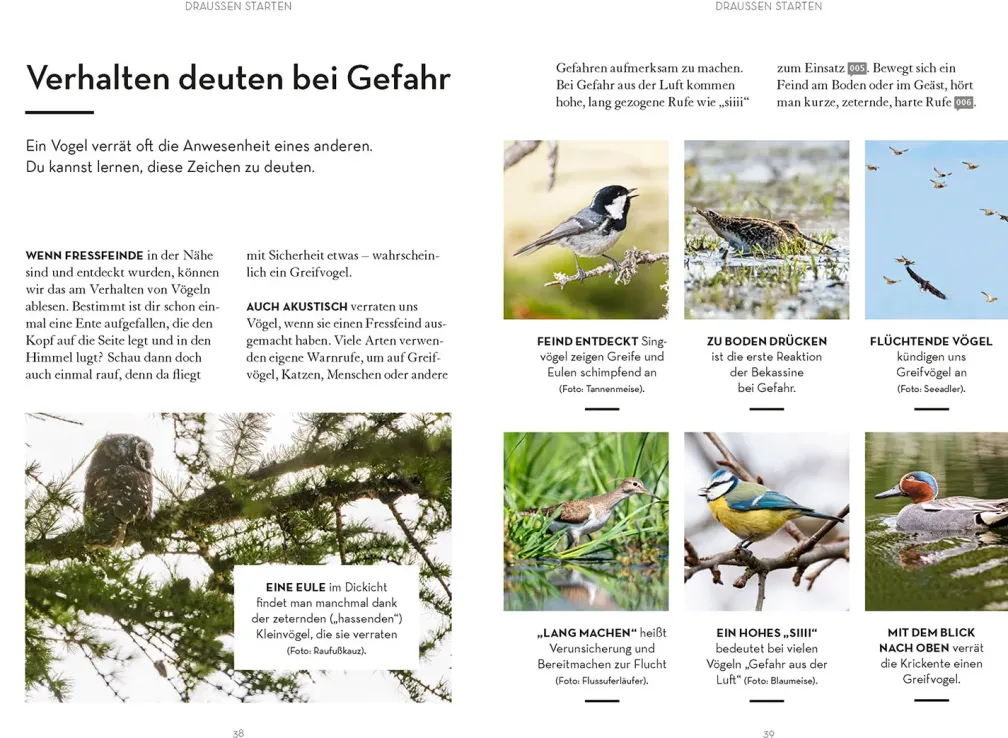 Vögel beobachten