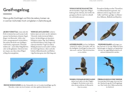 Vögel beobachten