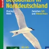 Vögel beobachten in Norddeutschland