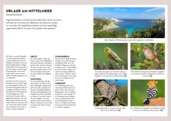 Vögel bestimmen mit den Ohren