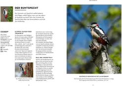 Vögel bestimmen mit den Ohren