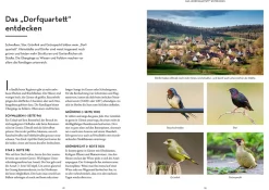 Vögel bestimmen mit den Ohren