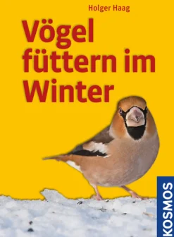 Vögel füttern im Winter