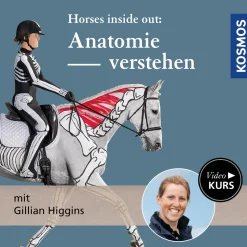 Videokurs Anatomie verstehen mit Gillian Higgins – Horses inside out