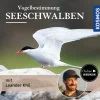 Vogelbestimmung: Seeschwalben