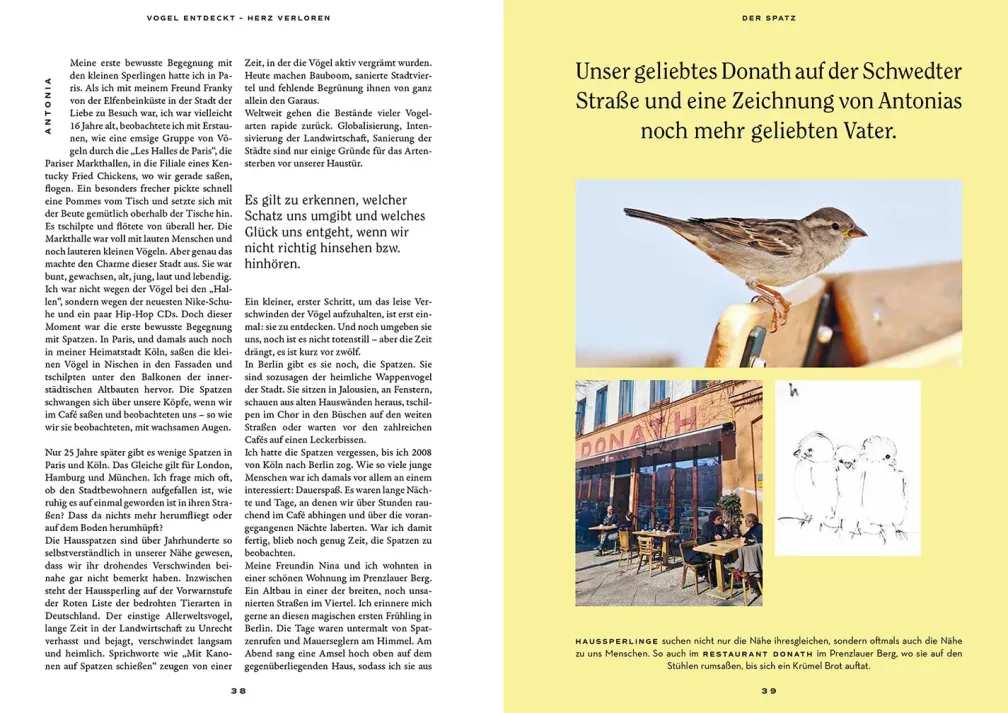 Vogel entdeckt - Herz verloren