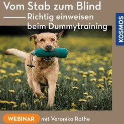 Vom Stab zum Blind – Richtig einweisen beim Dummytraining