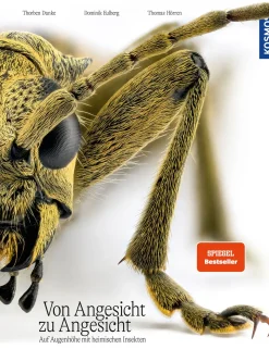 Von Angesicht zu Angesicht