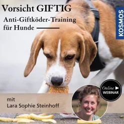 Vorsicht giftig – Anti-Giftköder-Training für Hunde
