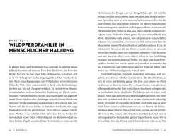 Wahre Freundschaft mit Pferden