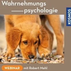 Wahrnehmungspsychologie bei Hunden