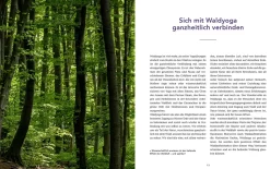 Waldyoga an Orten der Kraft