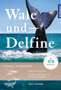 Wale und Delfine