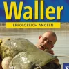 Waller angeln