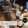 Wann ist ein Hund gefährlich?
