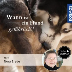 Wann ist ein Hund gefährlich?