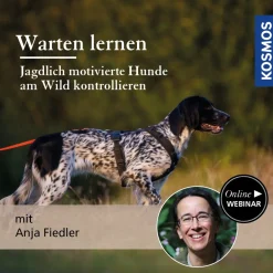 Warten lernen – Jagdlich motivierte Hunde am Wild kontrollieren