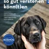 Warum wir uns so gut verstehen könn(t)en