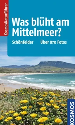 Was blüht am Mittelmeer?