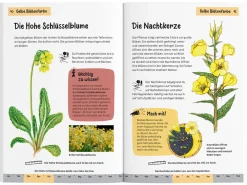 Was blüht denn da? Kindernaturführer