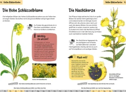 Was blüht denn da? Kindernaturführer