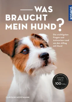 Was braucht mein Hund?
