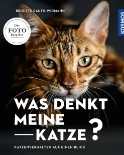 Was denkt meine Katze