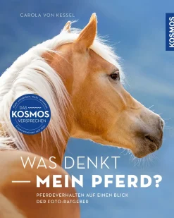 Was denkt mein Pferd?