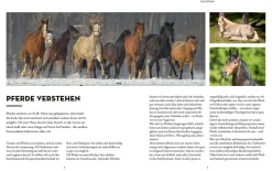 Was denkt mein Pferd?