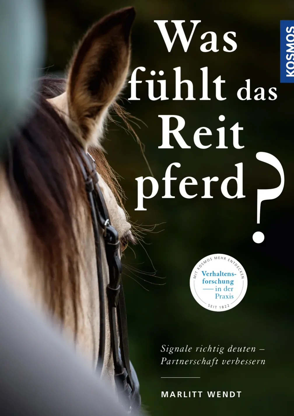 Was fühlt das Reitpferd?