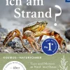 Was finde ich am Strand?