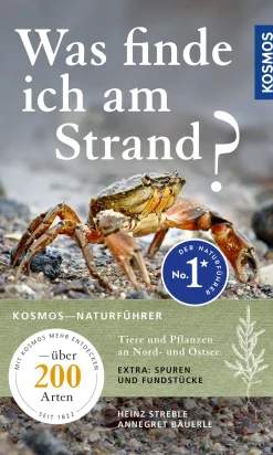 Was finde ich am Strand?