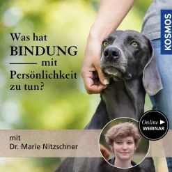 Was hat Bindung mit Persönlichkeit zu tun?