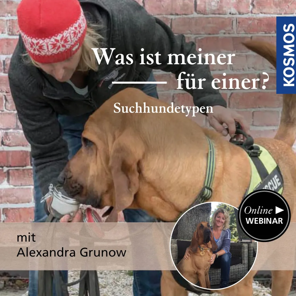 Was ist meiner für einer?