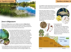 Was lebt an Bach und Teich? Kindernaturführer