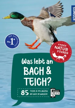 Was lebt an Bach und Teich? Kindernaturführer